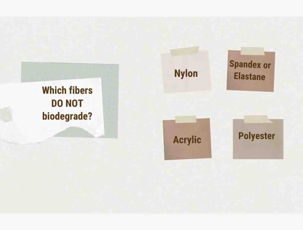 rosemallee βιοδιάσπαση μόδα υφάσματα fibers biodegrade fashion